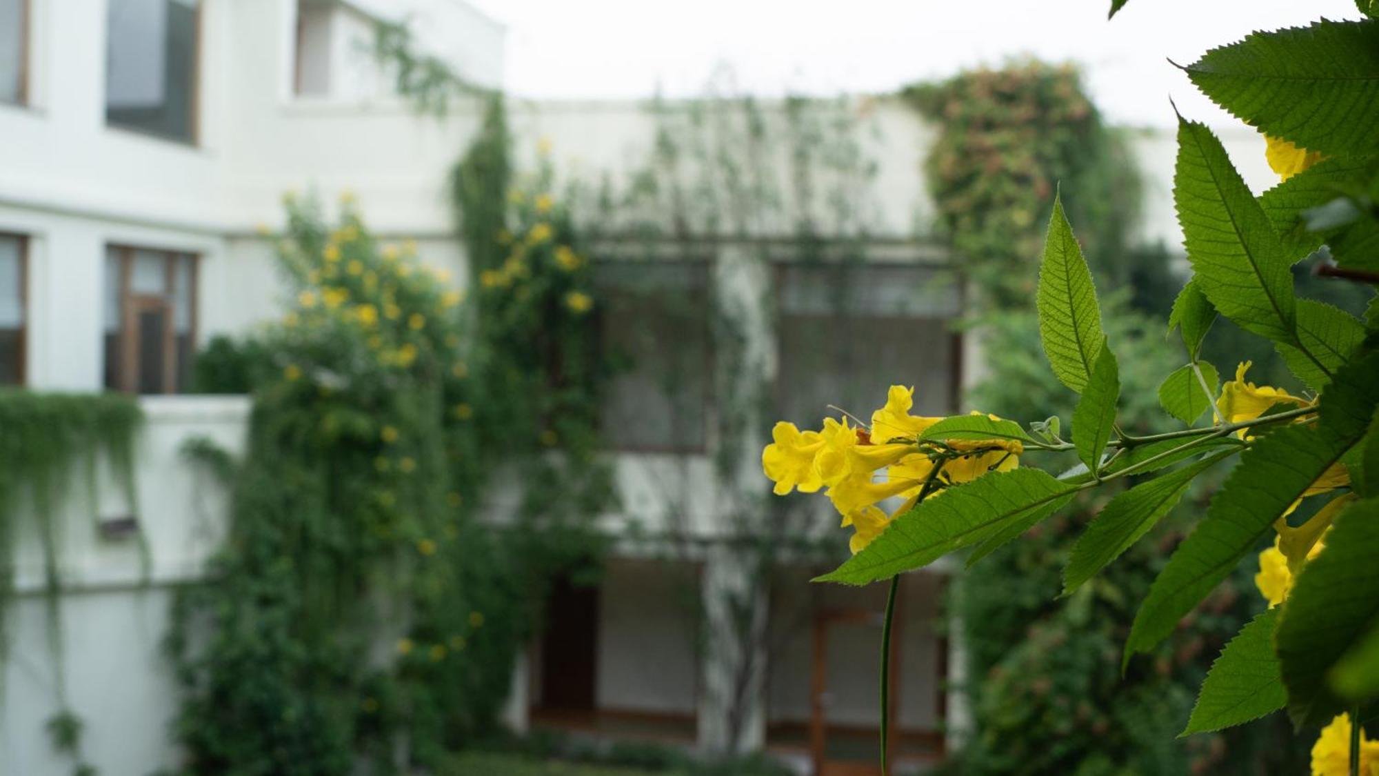 Naad Wellness Ξενοδοχείο Sonipat Εξωτερικό φωτογραφία